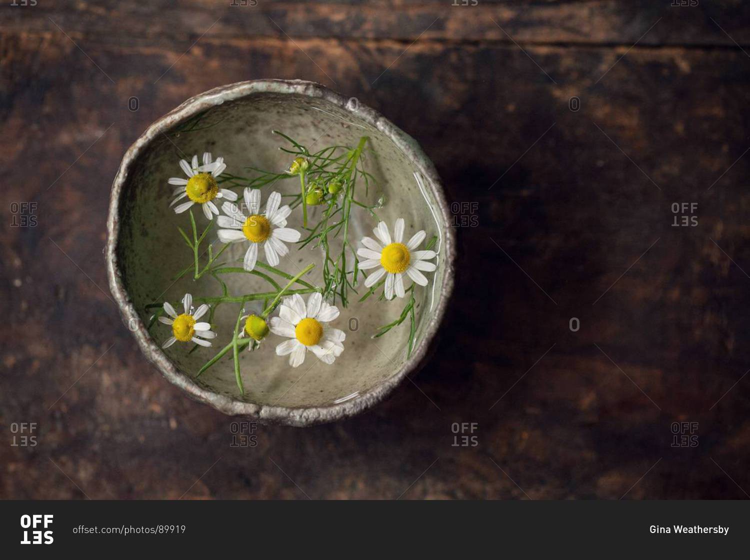 Chamomile flowers soaking in a bowl of water