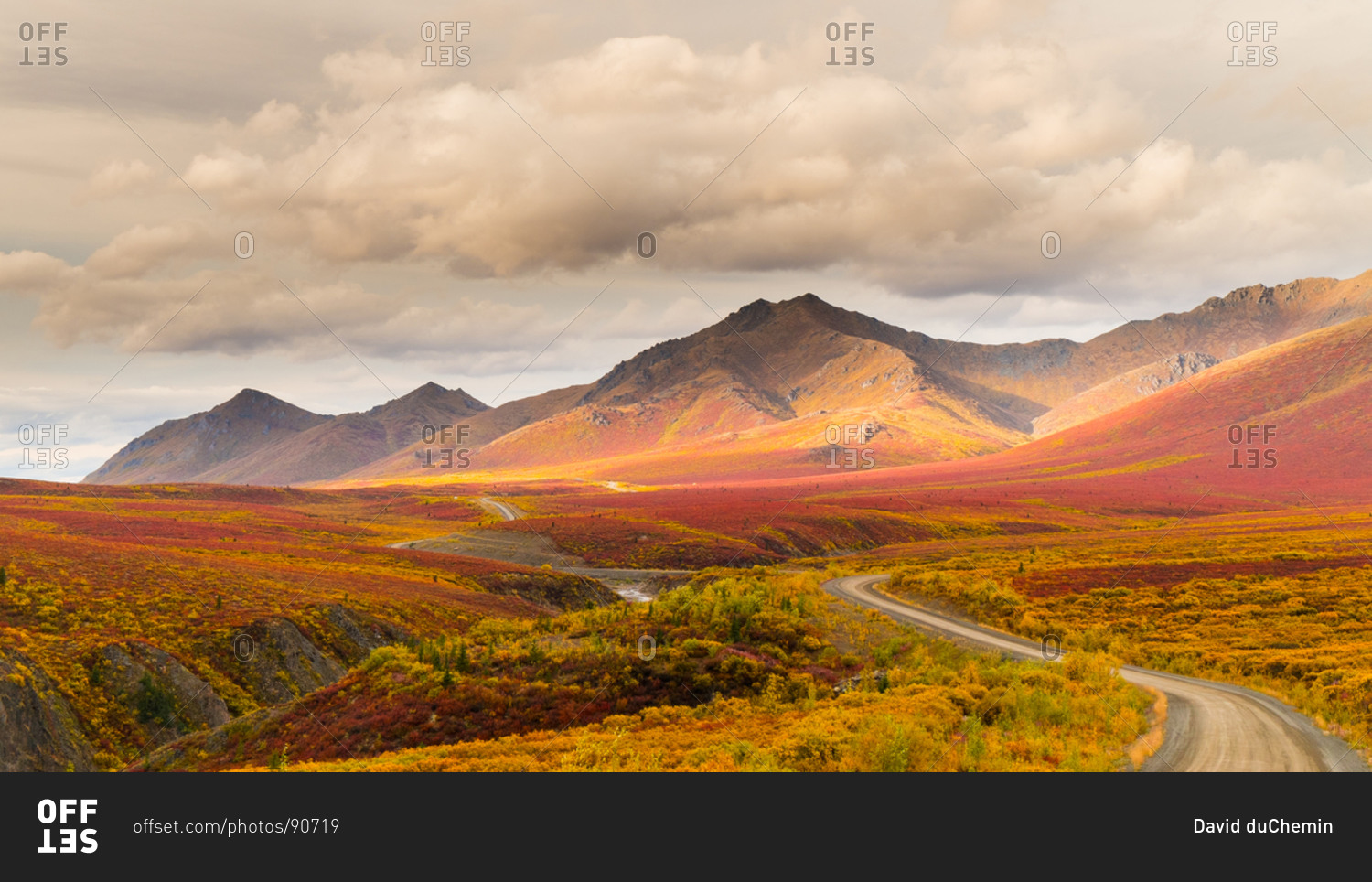 Fall colors blaze across Tombstone Territorial Park, Yukon Territory ...