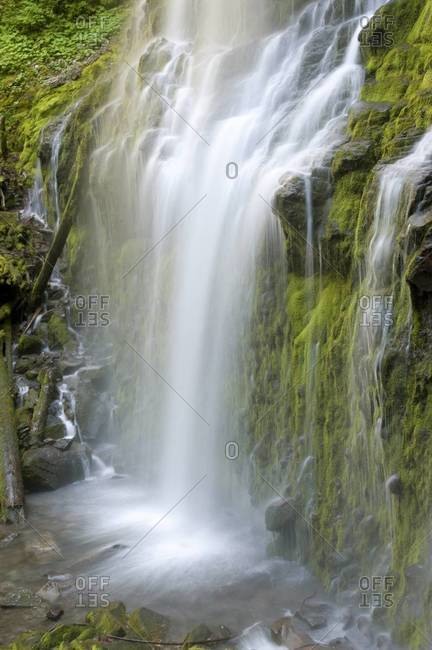 Proxy Falls, Three Sisters Wilderness USA