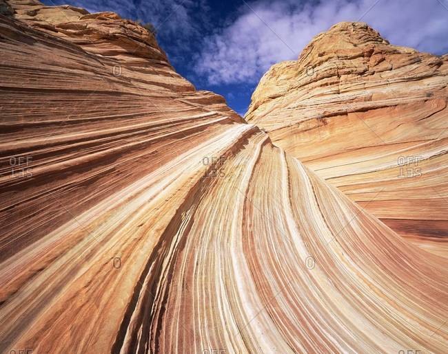 Sandstone wave, Paria Canyon, Vermillion Cliffs Wilderness, Arizona, United States of America (U.S.A.), North America