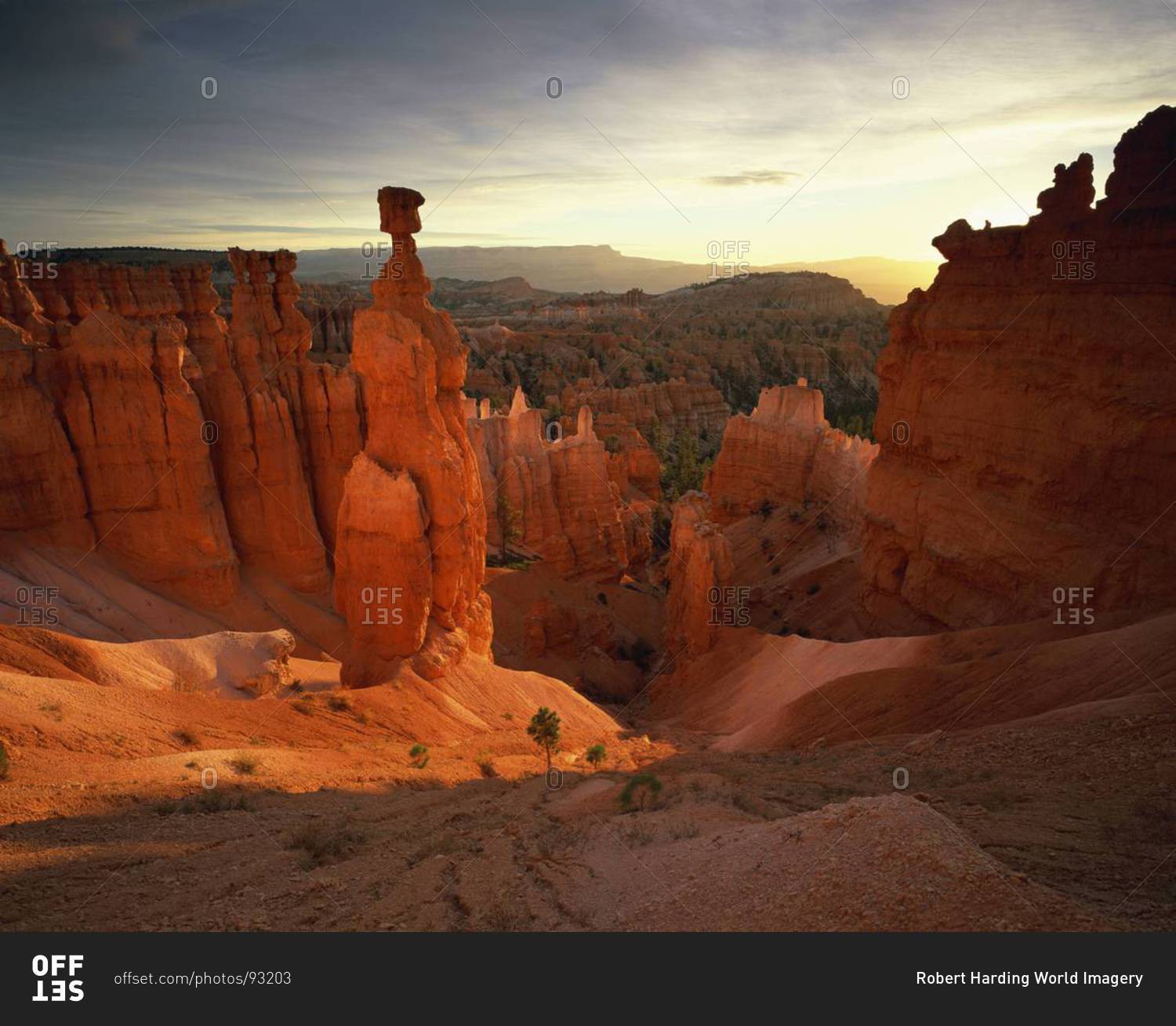 Backlit hoodoos and Thor's Hammer, Bryce Canyon National Park, Utah, United States of America, North America
