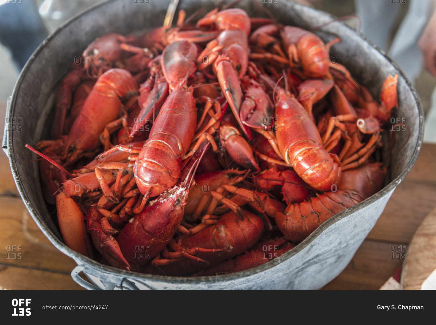 Fresh lobsters in Maine, USA stock photo - OFFSET