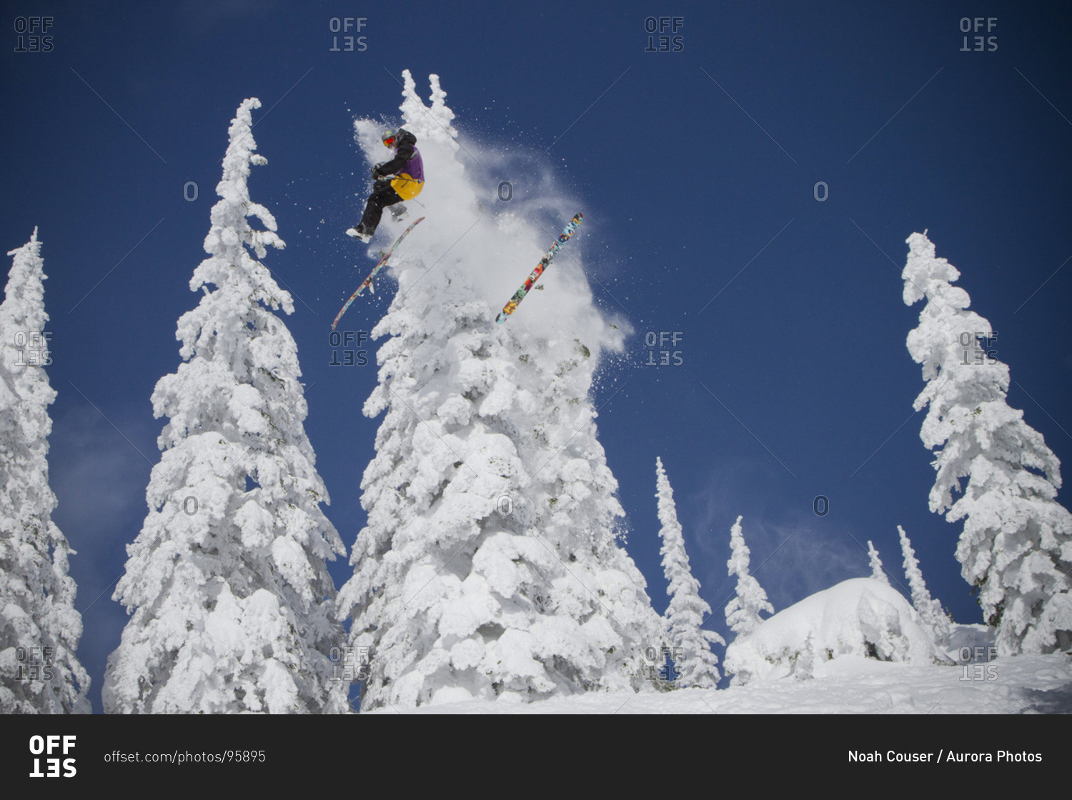 A skier crashes into a tree while in mid air on a bluebird day.
