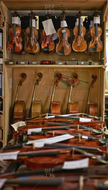 Violins to be repaired in a violin maker's workshop