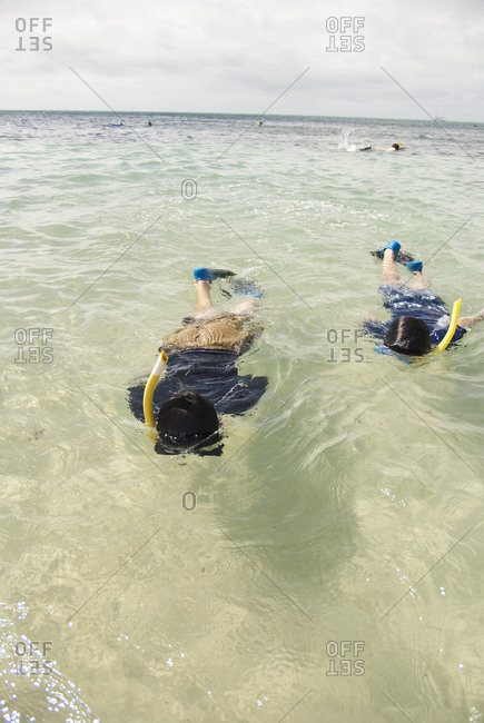 People snorkeling in sea - Offset