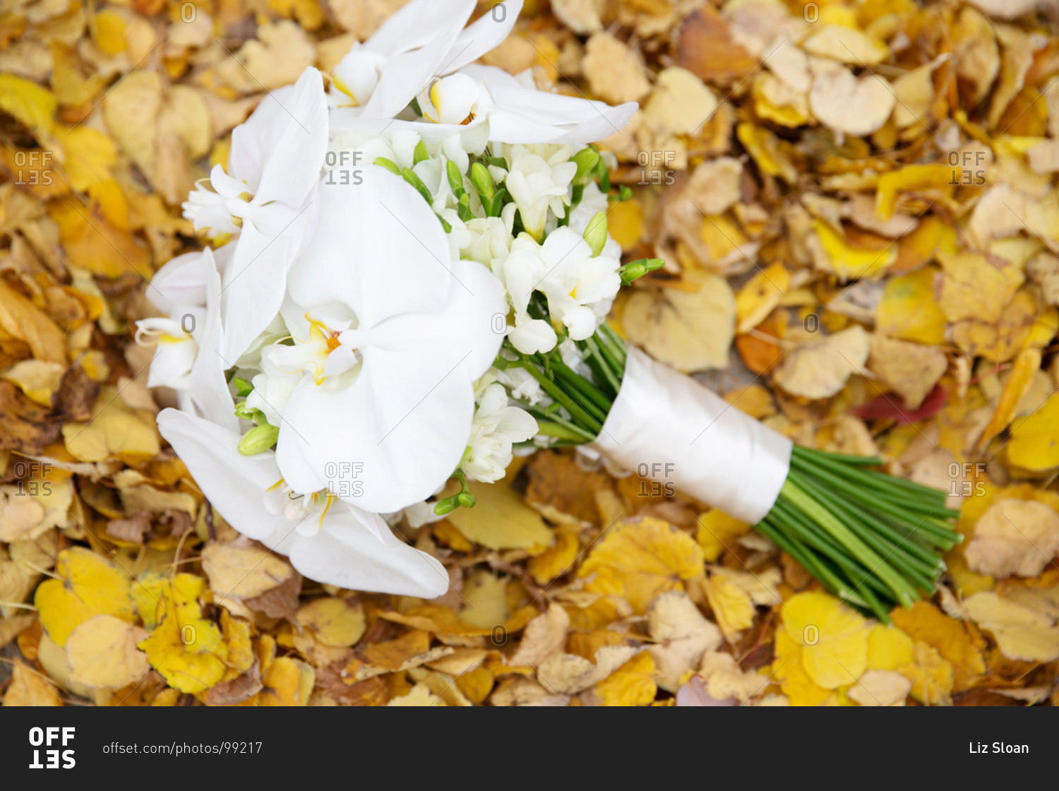 Close up of bridal bouquet
