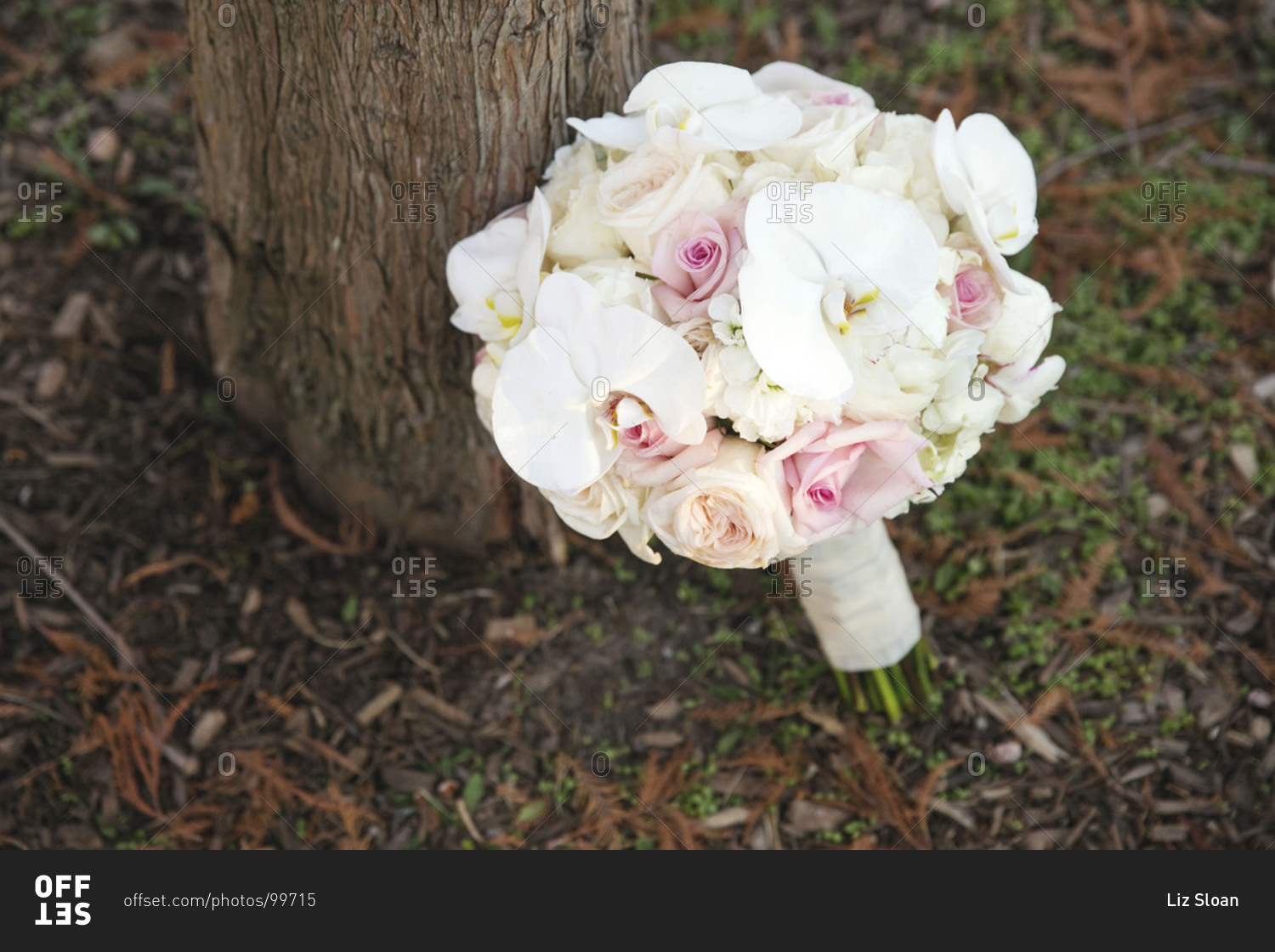 Bridal bouquet left outdoors