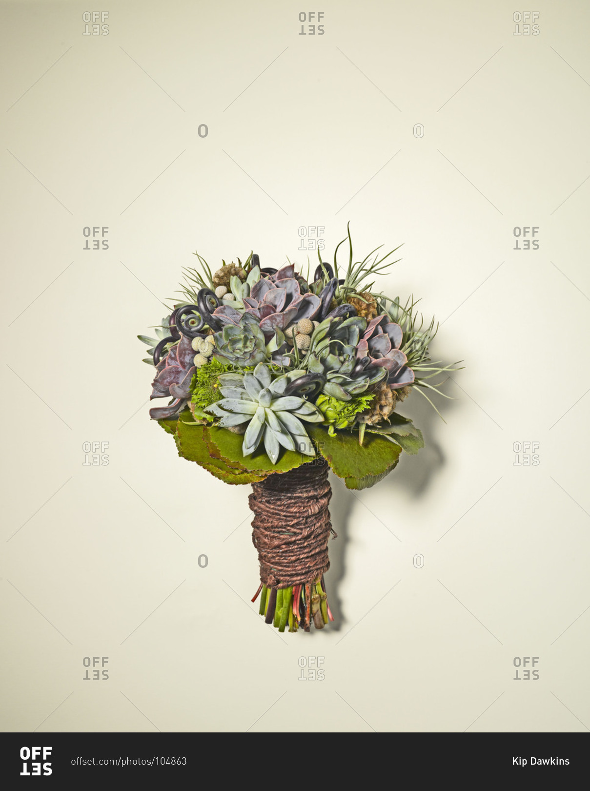 Close up of bridal bouquet of succulents