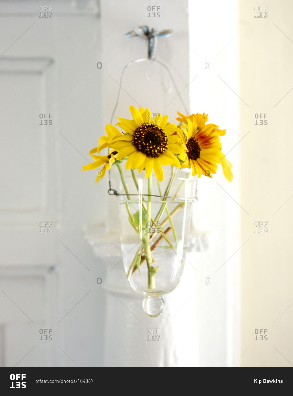 Sunflowers in a vase hooked on a door