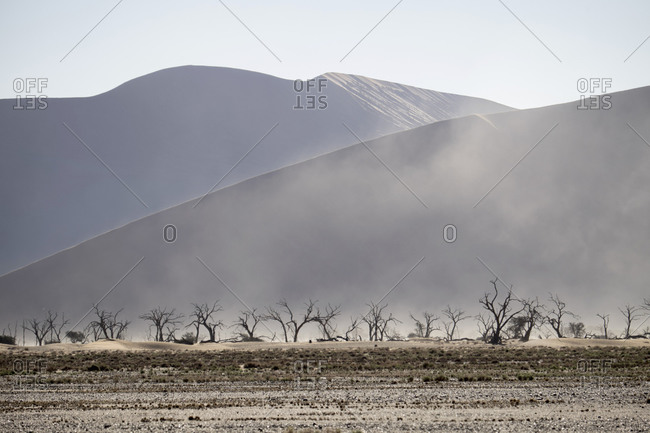 Sand dune with dead trees, Sossusvlei, Namibia, Africa