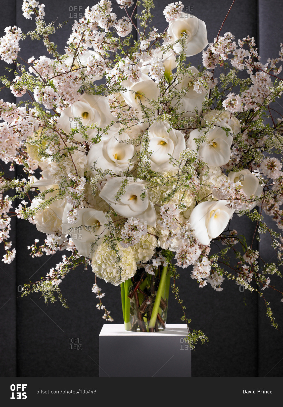 Various white flowers in a vase