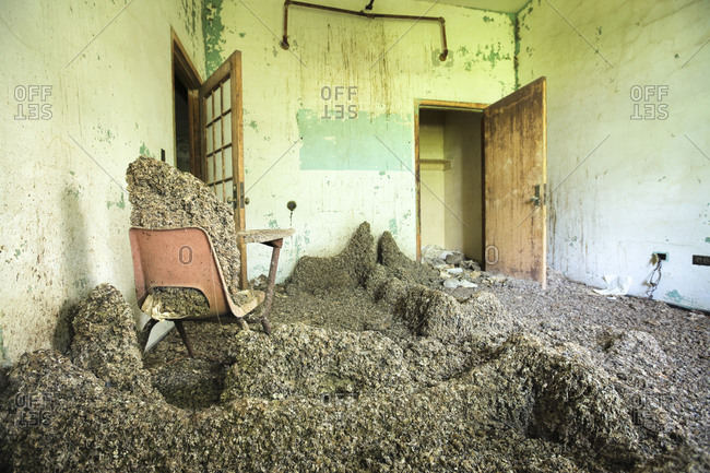Room Of An Abandoned Mental Hospital Covered In Pigeon Poop