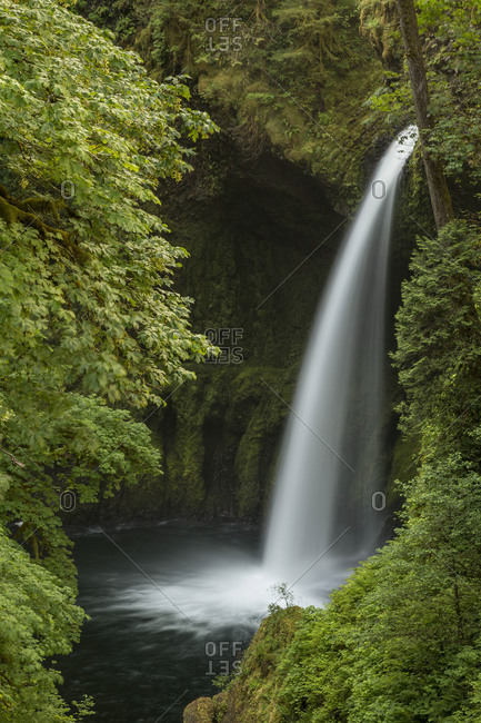 Metlako Falls in the Columbia River Gorge National Scenic Area, Oregon