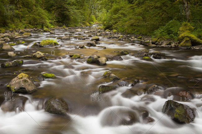 Tanner Creek rapids on the trail to Wahclella Falls, in the Columbia River Gorge National Scenic Area, Oregon