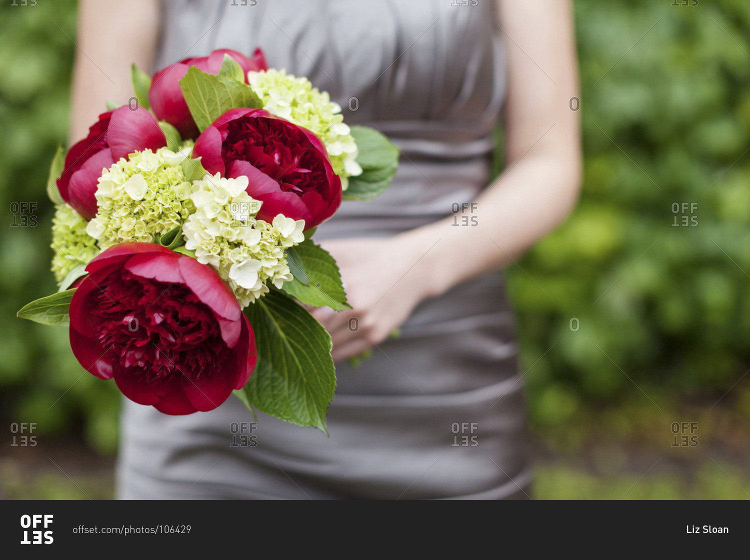 Mid section view of bridesmaid holding a burgundy red peony bouquet