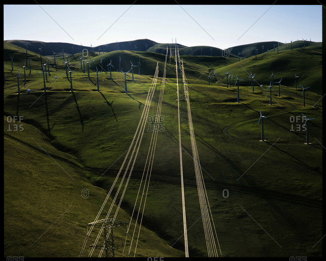 Power lines cut through a  large field of wind turbines at the Altamont Pass Wind Farm, California