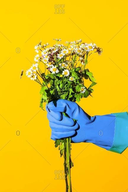 Wildflower bouquet in gloved hand