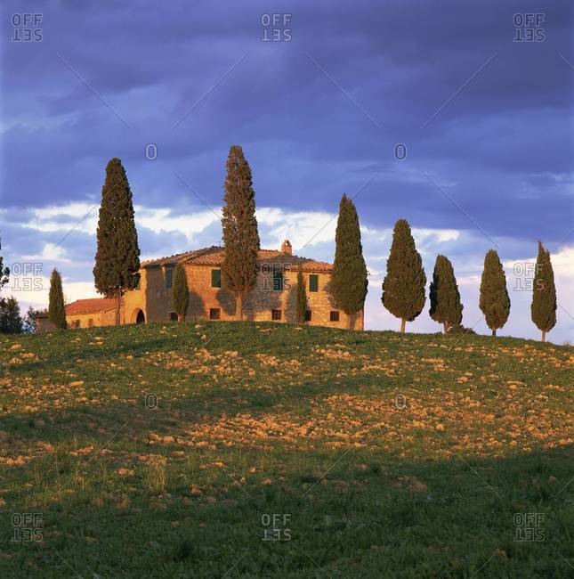 Farmhouse and trees near Pienza, Siena Province, Tuscany, Italy, Europe