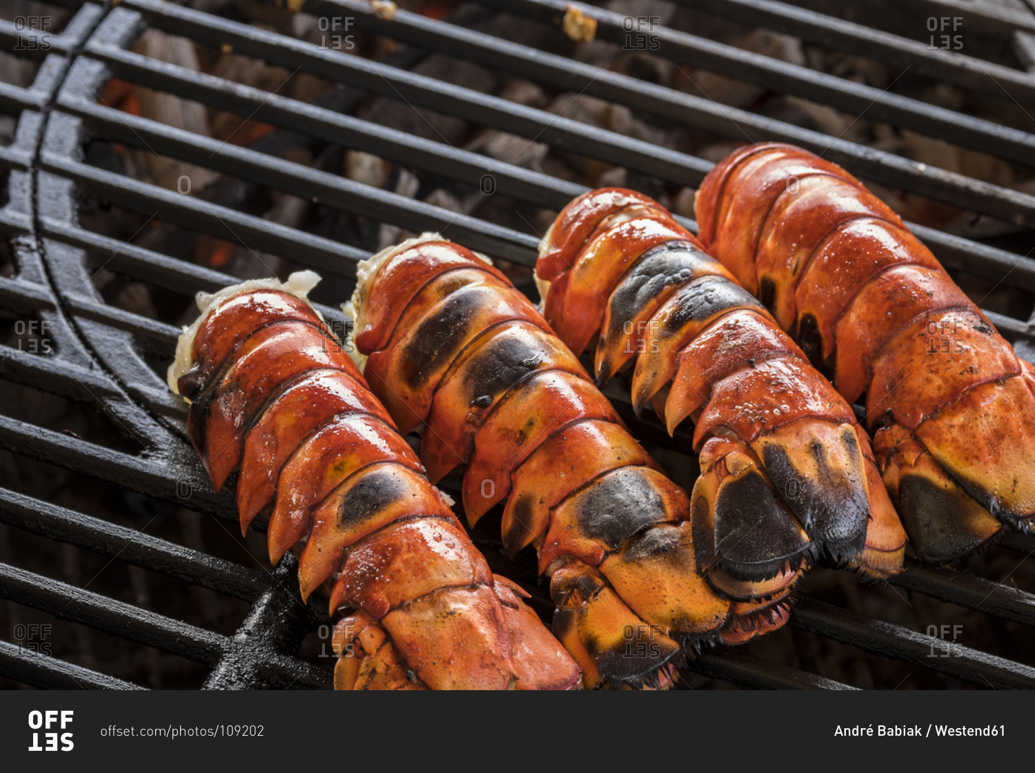 Lobster tails cooking over charcoal on barbecue grill