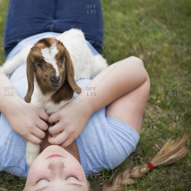 A girl cuddling a baby goat lying on her chest