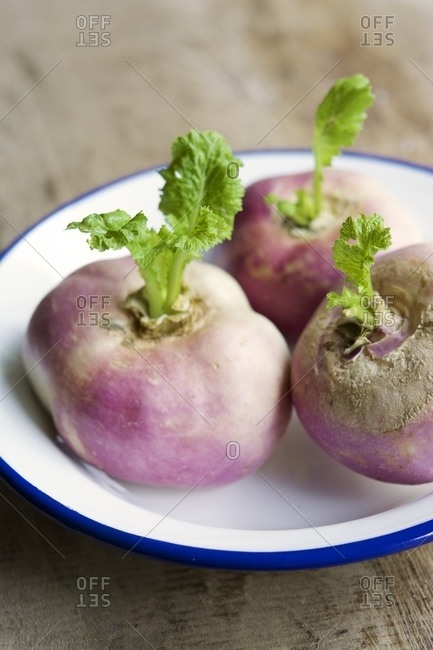 May Turnips Brassica Rapa Subsp Rapa Var Majalis In An Enamel Bowl Stock Photo Offset