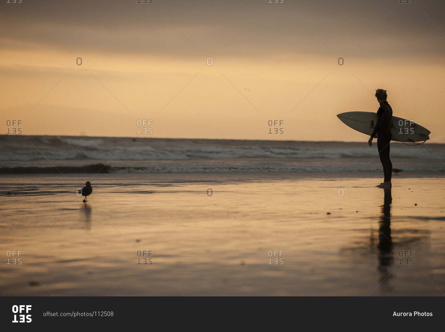 Silhouette of a surfer standing in front of the Pacific Ocean, Huntington Beach, California