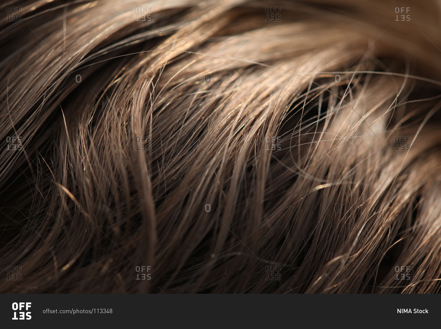 Close up of healthy thick blond hair