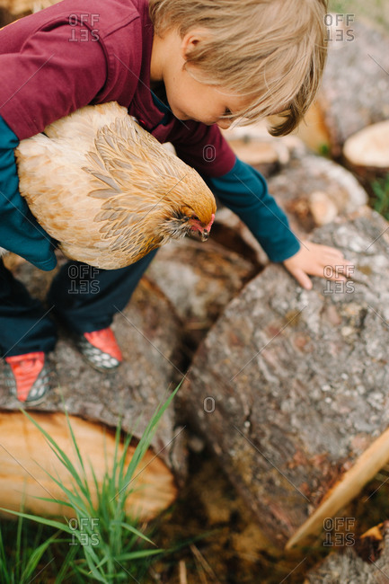 Boy climbing on logs with a chicken