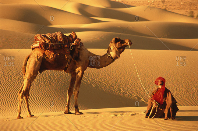 Thar Desert, India Man - February 25, 2008: Man and his camel in the Thar desert