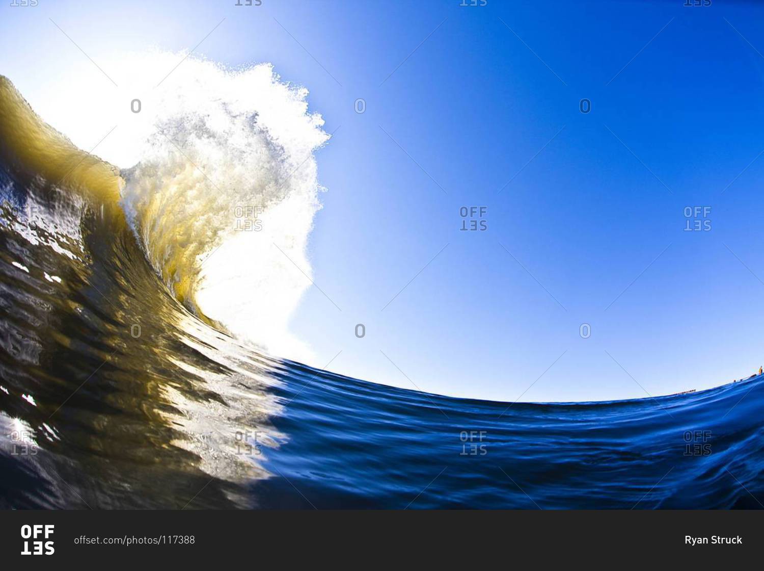 Curling wave under a clear blue sky