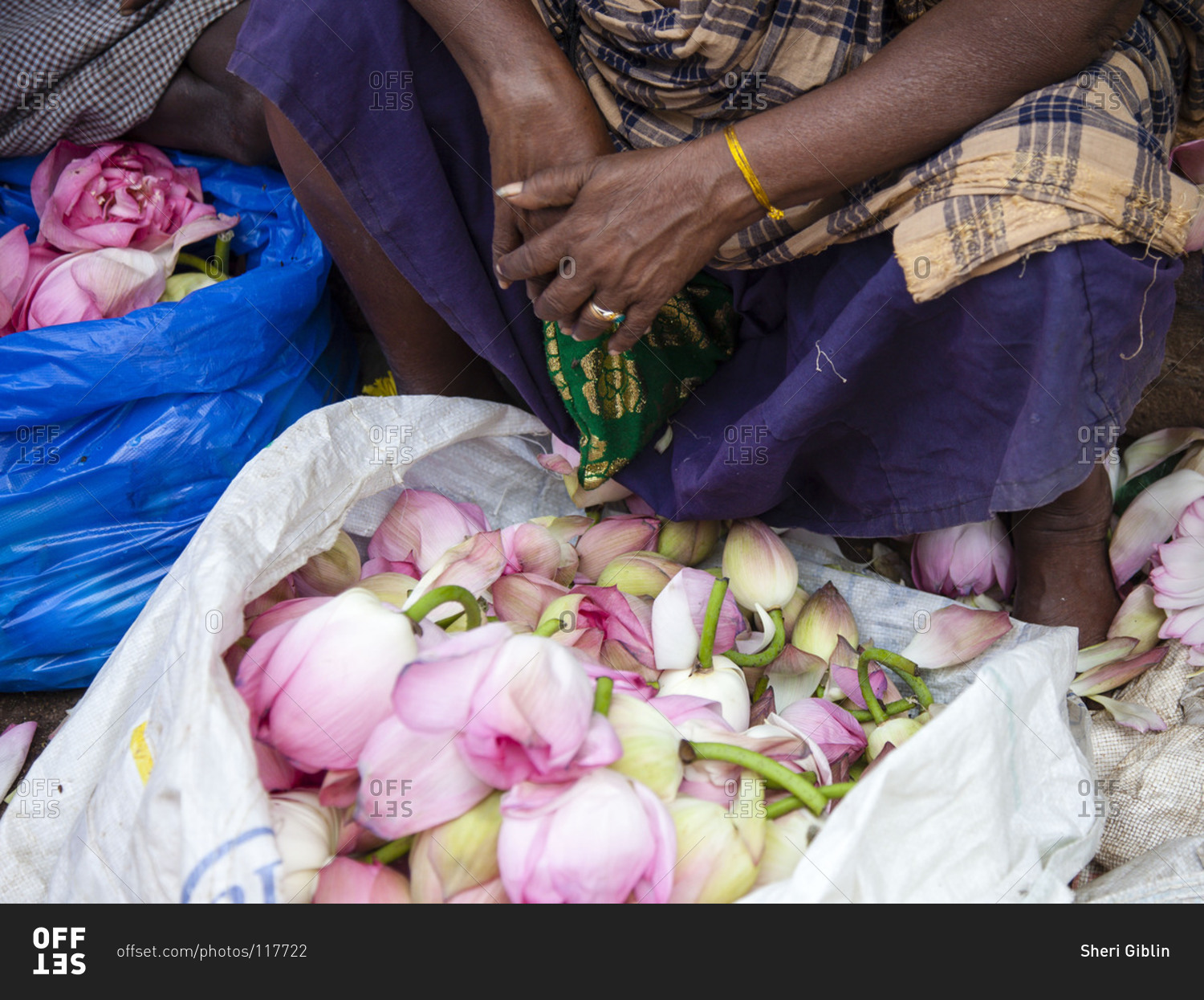 Lotus flowers for sale at Indian flower market
