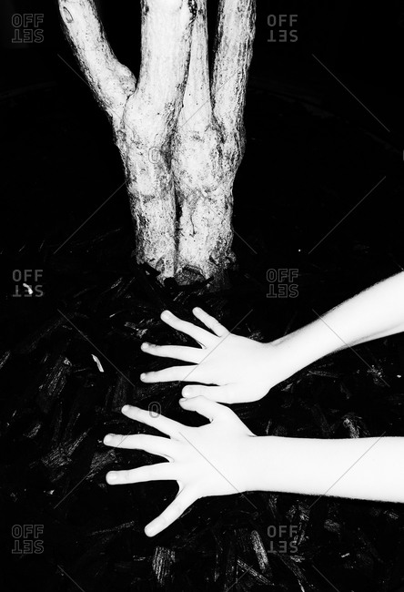 White hands on dark surface