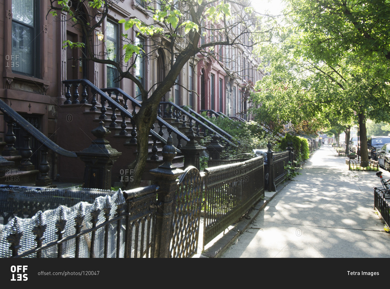 Empty Sidewalk In Brooklyn - Offset Stock Photo - Offset