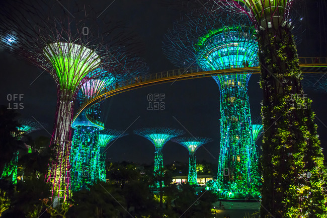 Electric supertrees lit up at night, Singapore, Republic of Singapore