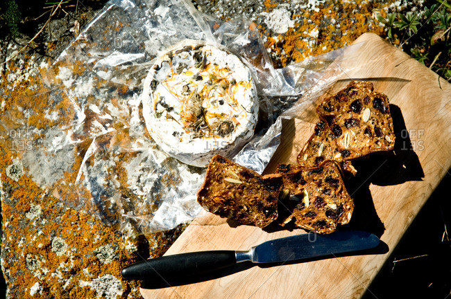 Organic cheese, rolled in coastal herbs and dried wildflowers