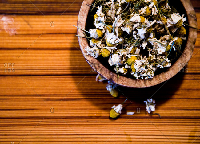 Dried chamomile in wooden bowl