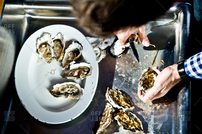 High angle view of halving raw oysters