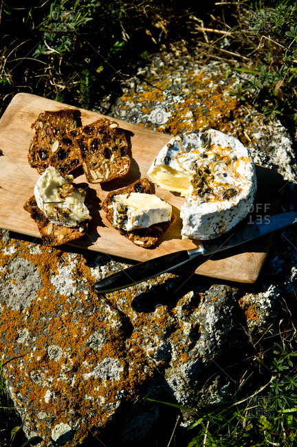 Pierce Point cheese, rolled in coastal herbs and dried wildflowers