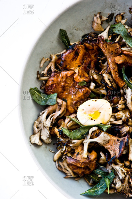 Close up of grilled mushrooms with fried sage and poached egg