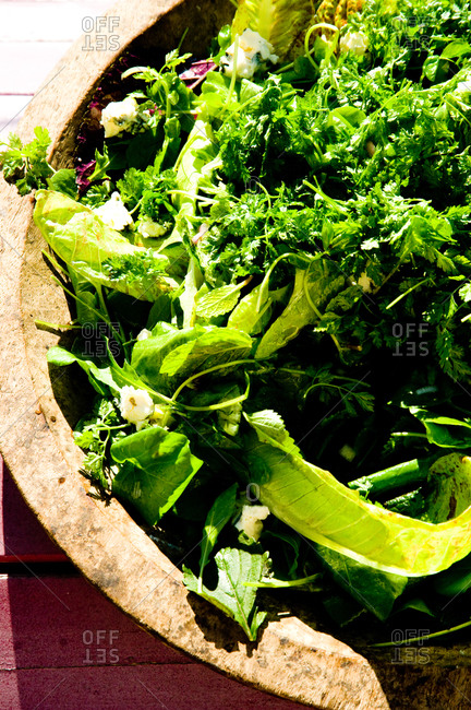 Close up of a fresh salad