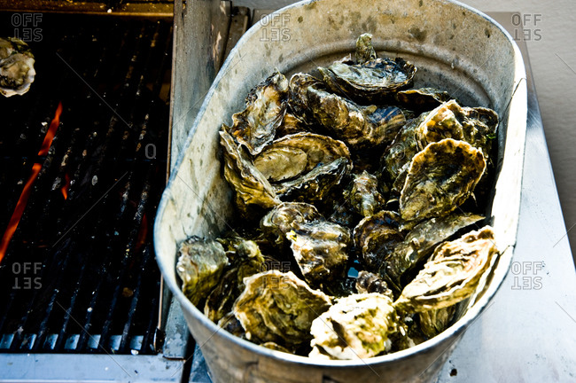 Raw oysters in a bucket next to a grilling grid