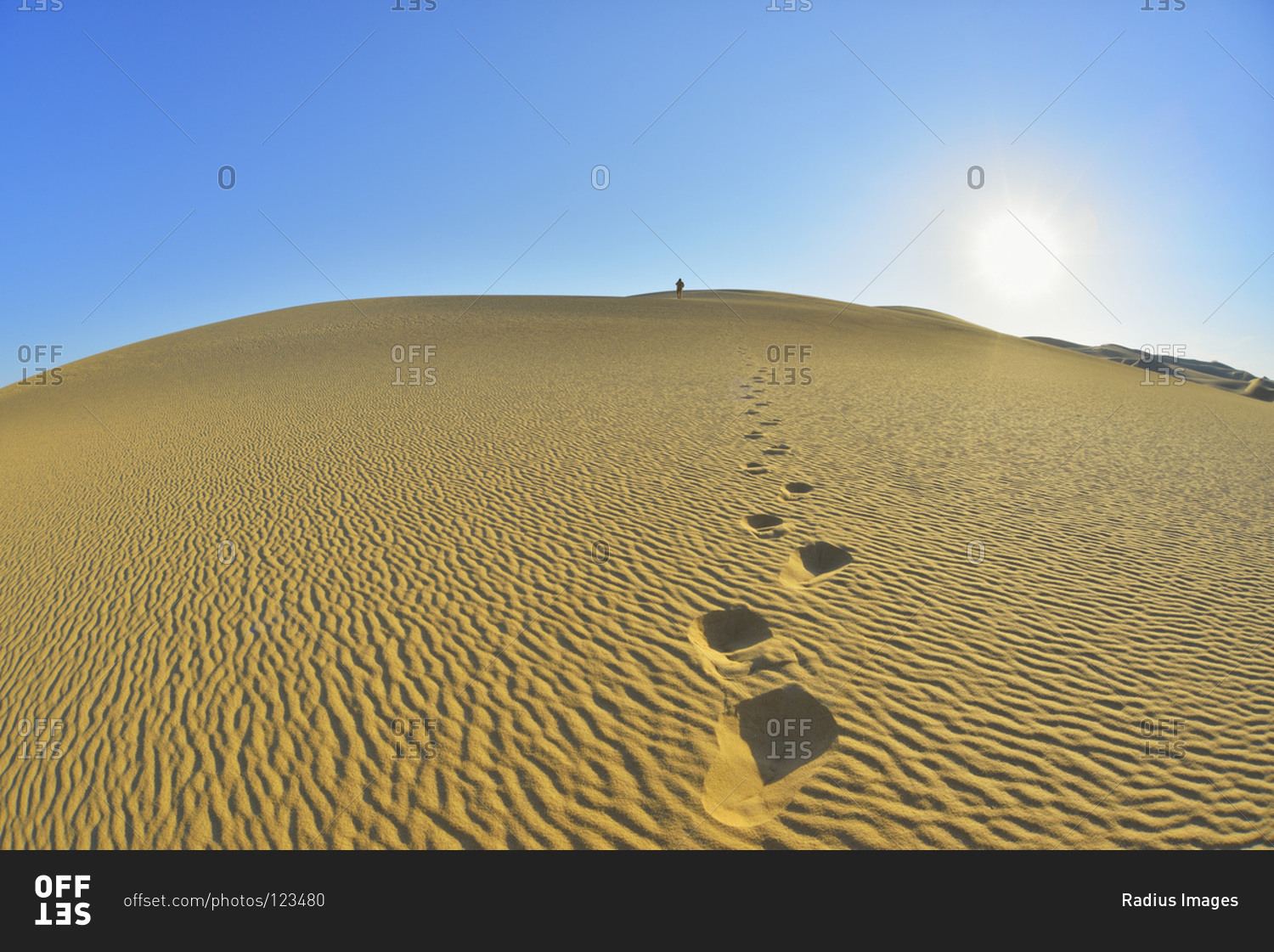 Footprints on sand dune with sun, Matruh Governorate, Libyan Desert, Sahara Desert, Egypt, Africa