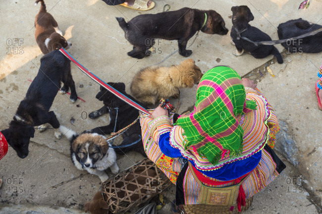 Flower Hmong woman selling dogs, Sunday market, Bac Ha, Vietnam