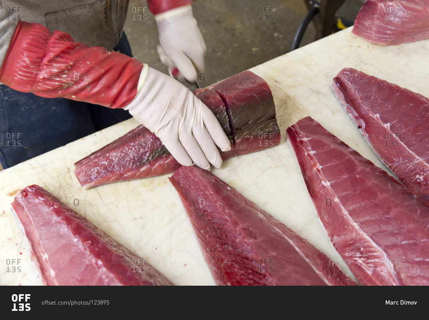 Grade A tuna being prepared for delivery