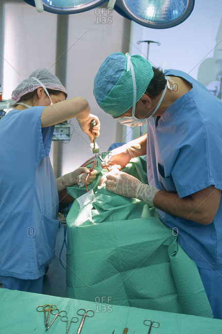 Surgeons performing plastic surgery of the nose