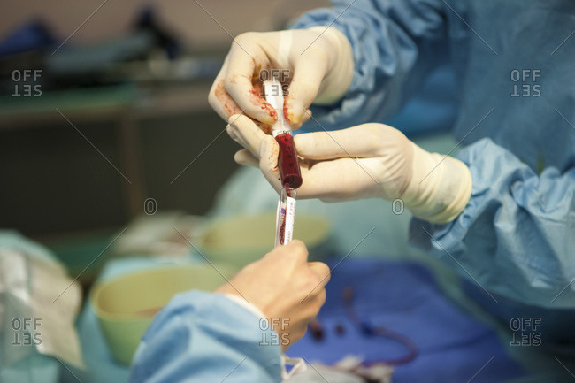 Surgeon adding bone marrow to sample test tube.