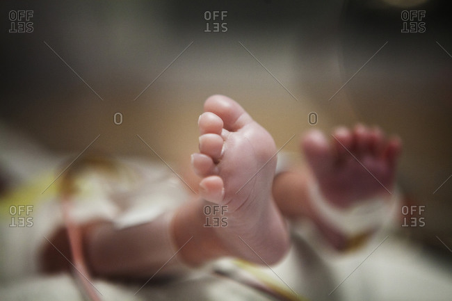 Foot of a premature baby