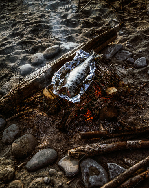 Whole fish on a grid above a campfire