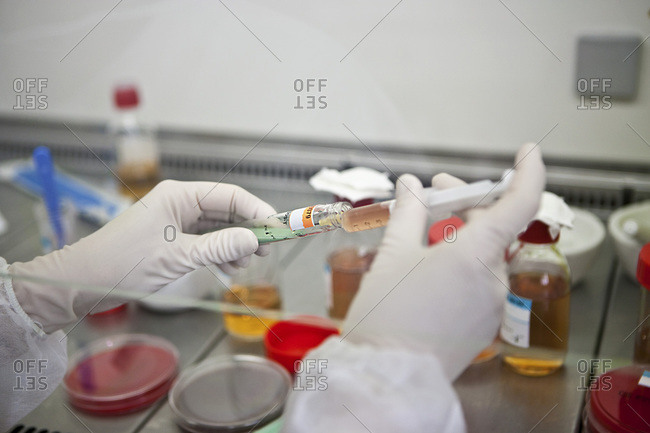 Laboratory worker conducting bacterial analysis.