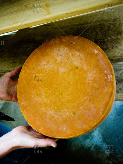 High angle view of person showing raclette cheese